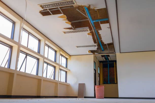 Best Water damage contractors near me  in Lawai, HI