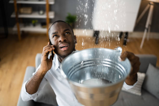 Best Water damage restoration near me  in Lawai, HI