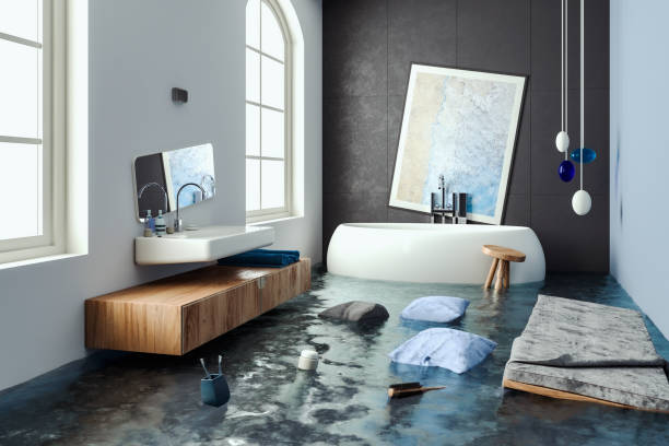 Best Water damage cleanup near me  in Lawai, HI