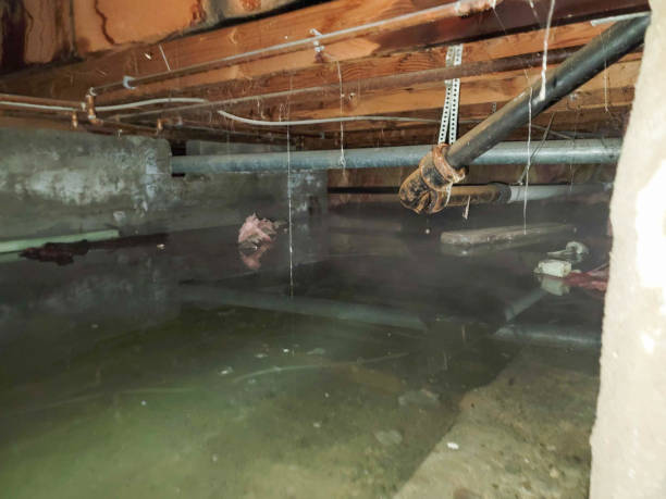Best Residential water damage restoration  in Lawai, HI