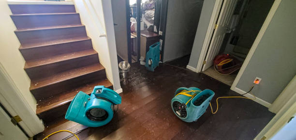 Best 24/7 water damage repair  in Lawai, HI