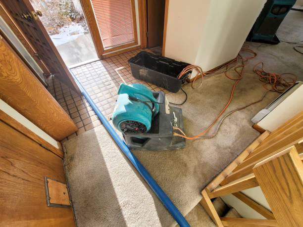 Best Carpet water damage restoration  in Lawai, HI