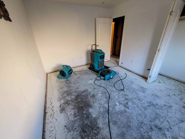 Best Water damage restoration services  in Lawai, HI