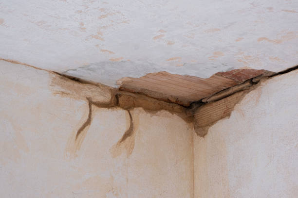 Best Water damage restoration near me  in Lawai, HI