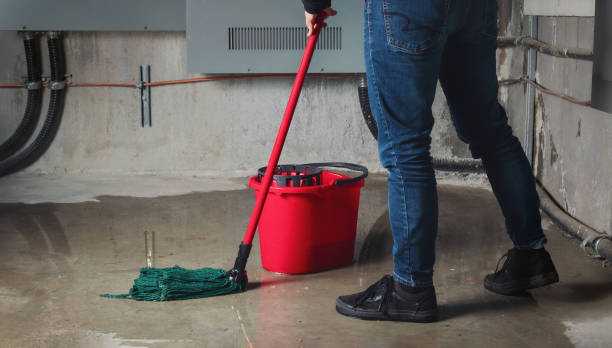 Best Sewage cleanup and water damage restoration  in Lawai, HI