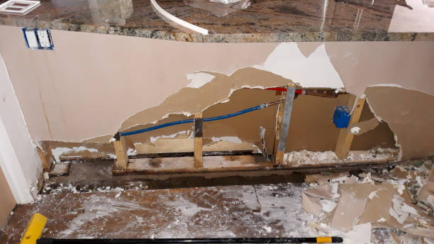 Best Basement water damage restoration  in Lawai, HI