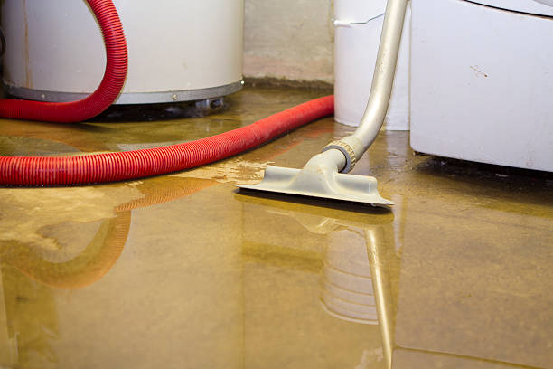 Best Water damage cleanup near me  in Lawai, HI