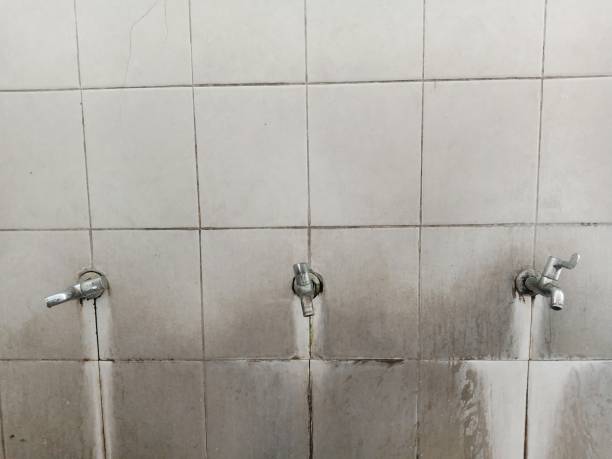 Best Fire Damage Restoration  in Lawai, HI