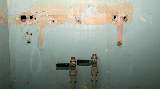  Lawai, HI Water damage restoration Pros