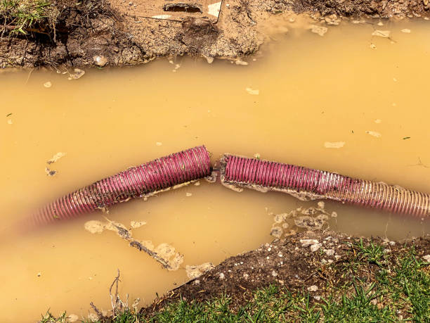 Best Water damage restoration cost  in Lawai, HI
