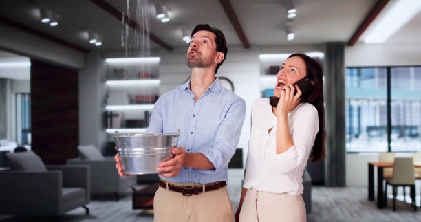 Best Flood restoration services  in Lawai, HI