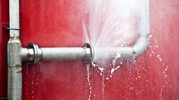 Carpet water damage restoration in Lawai, HI